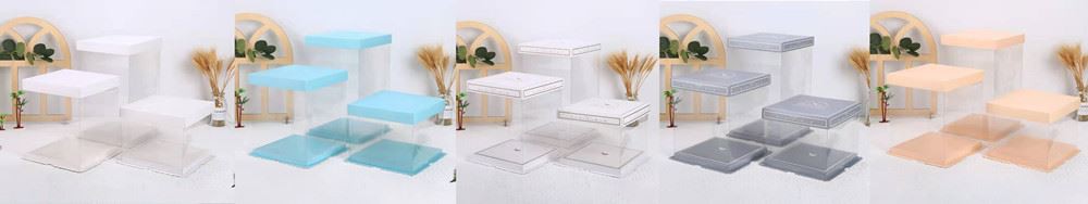 Box for food packaging