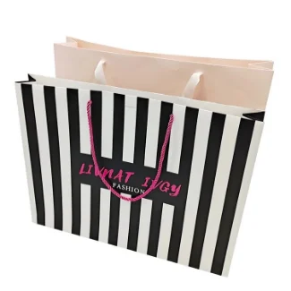 Paper Bag with Your Own Logo