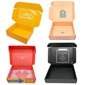 2023 New Custom Corrugated Mailer Box