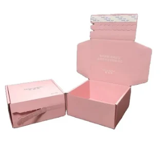 Zipper Express Shipping Box